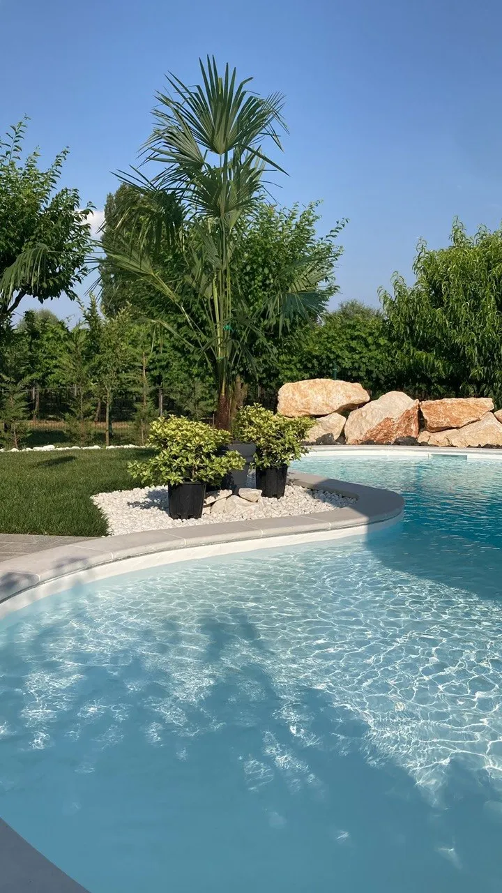 Bordo piscina con palme e rocce — Kash Piscine